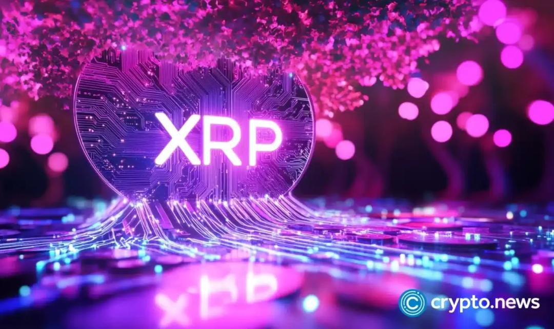 رکوردشکنی ۳۹ ماهه XDC؛ صعود ۲۲ درصدی قیمت پس از همکاری جدید
