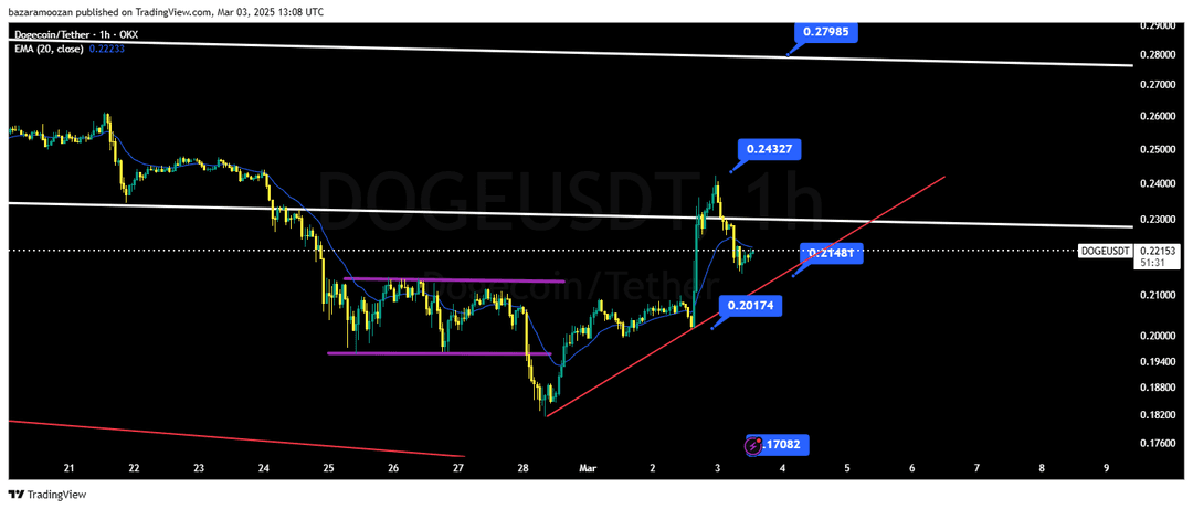 تحلیل دوج کوین ( DOGE/USDT ) امروز 13 اسفند 1403