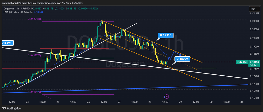 تحلیل دوج کوین ( DOGE/USDT ) امروز 8 فروردین 1404