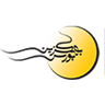 کارگزاری بهگزین