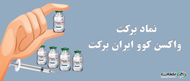 تحلیل و بررسی کامل سهام برکت | آیا برکت بخریم؟