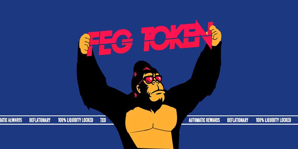 ارز دیجیتال feg | ارز دیجیتال فگ بخریم یا نخریم؟