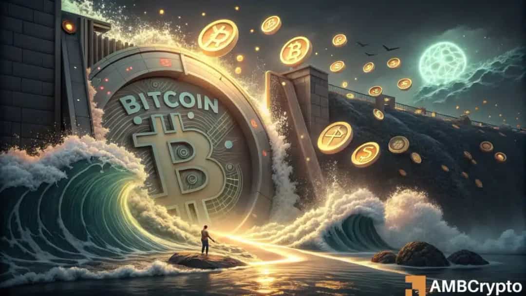 چرخش احتمالی به آلت کوین ها؛ رصد BTC/USDT و جریان های صرافی