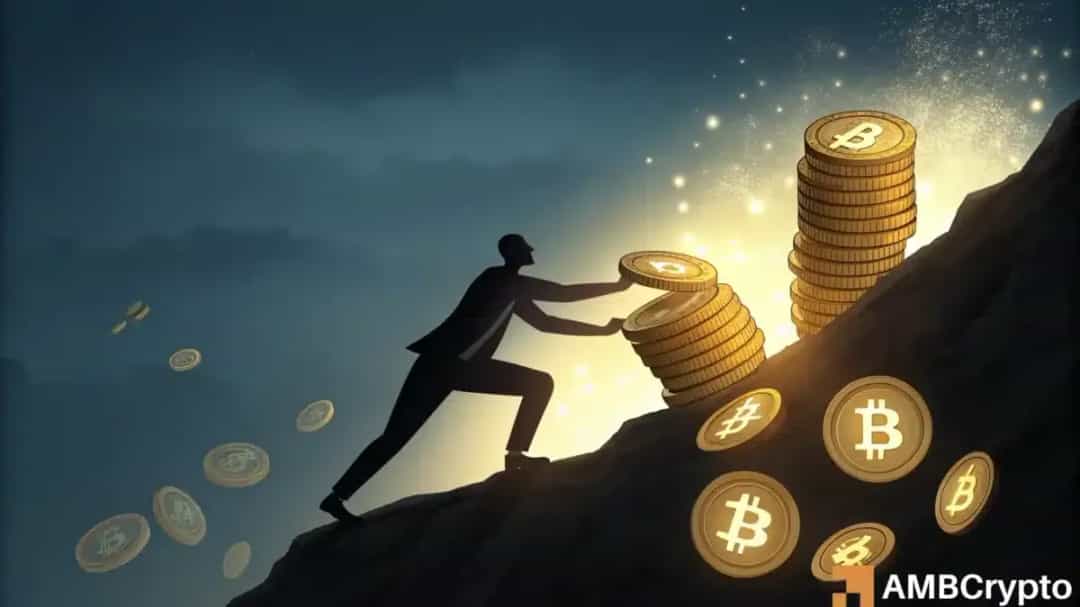 Arthur Hayes موقعیتها را کم میکند؛ ZEC/BTC جهش میزند