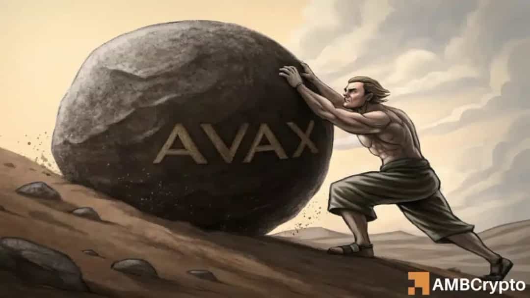 افزایش ۱۱۶٪ کارمزد AVAX با ورود نهنگها؛ خردهمعاملهگران در حال خروج