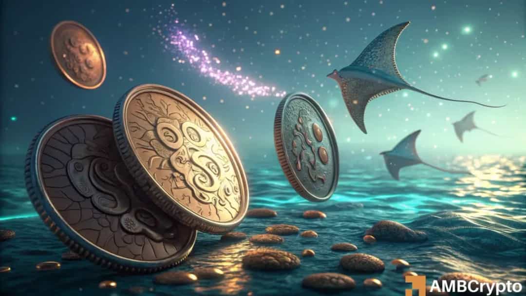 بایو پروتکل 131٪ رشد کرد؛ اصلاح احتمالی به محدوده 0.151–0.175$