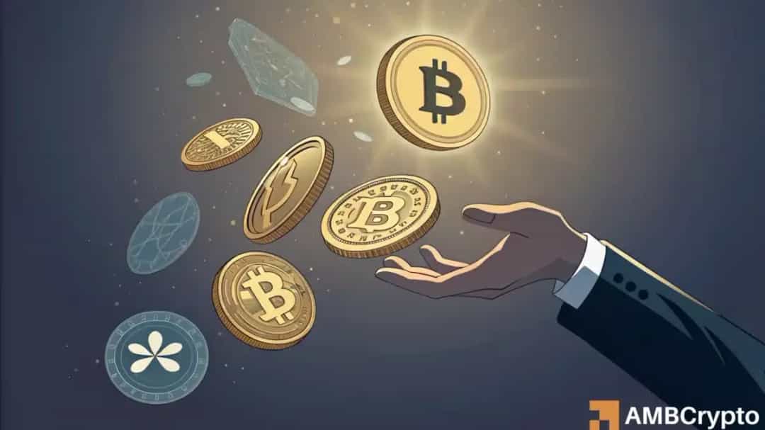 نوسان شدید ADA، SOL و XRP؛ آلتکوینها در کانون توجه بازار