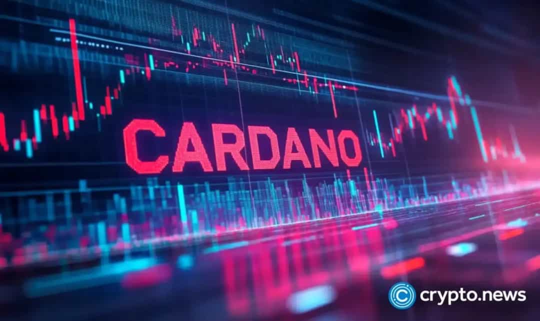 توسعهدهندگان کاردانو از اتریوم پیشی گرفتند؛ تثبیت بالای حمایت کلیدی