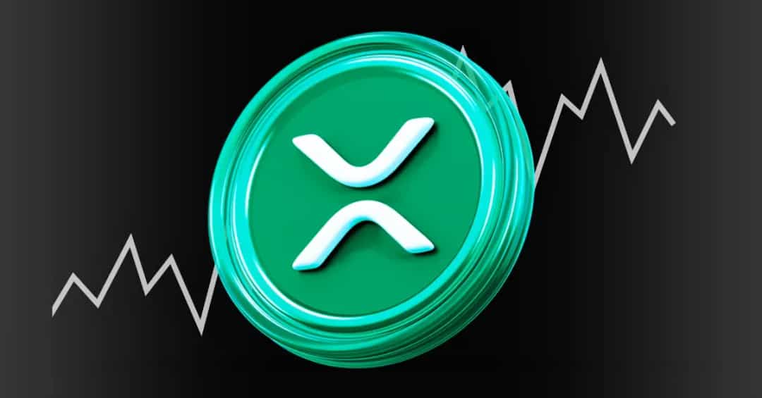 انتقاد شدید داماد سناتور لومی از XRP؛ دیدار مدیرعامل ریپل لغو شد