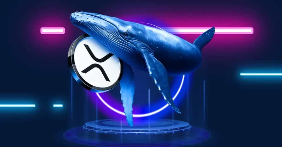 آیا انفجار قیمت XRP نزدیک است؟ جهش بیسابقه فعالیت لجر XRP و انباشت نهنگها