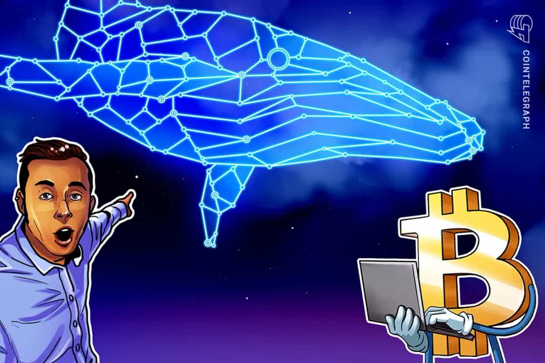 BTC/USDT در خطر سقوط تا 100K پس از انتقال بزرگ نهنگ 'insider'