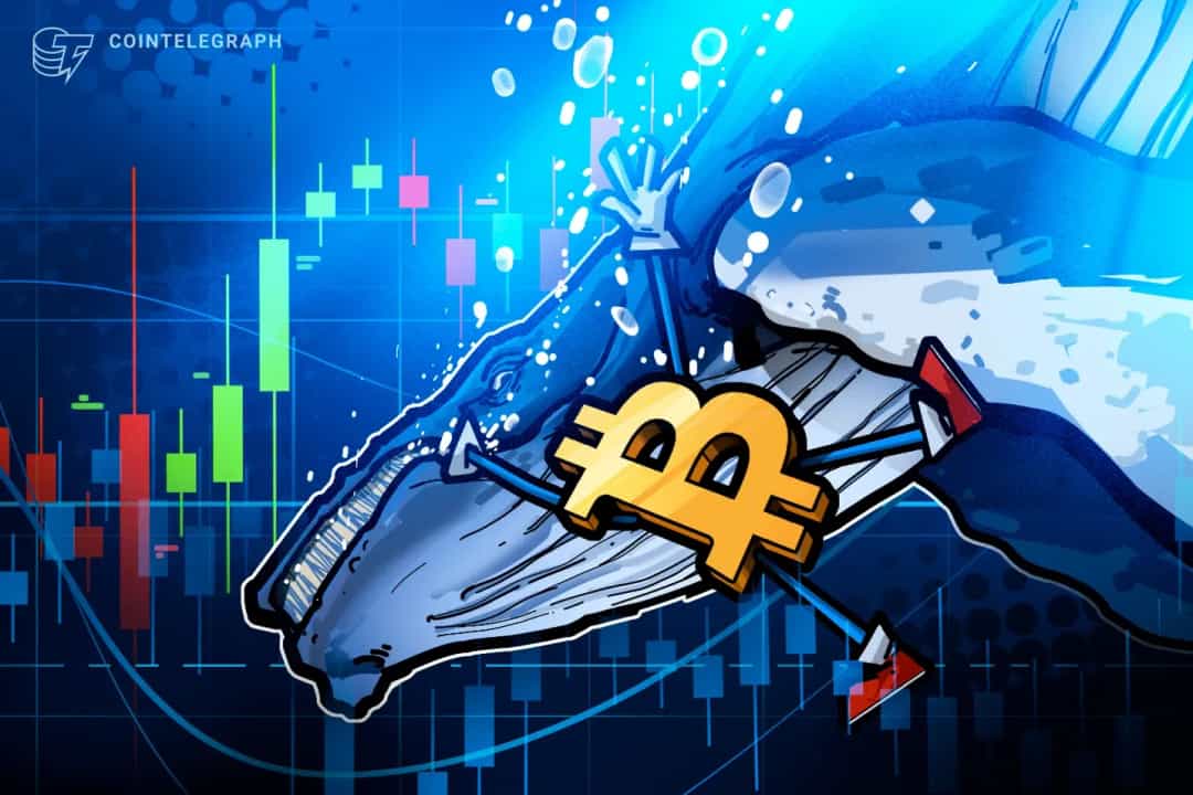 BTC زیر 86K: نهنگ ها 2.78 میلیارد دلار فروش کردند
