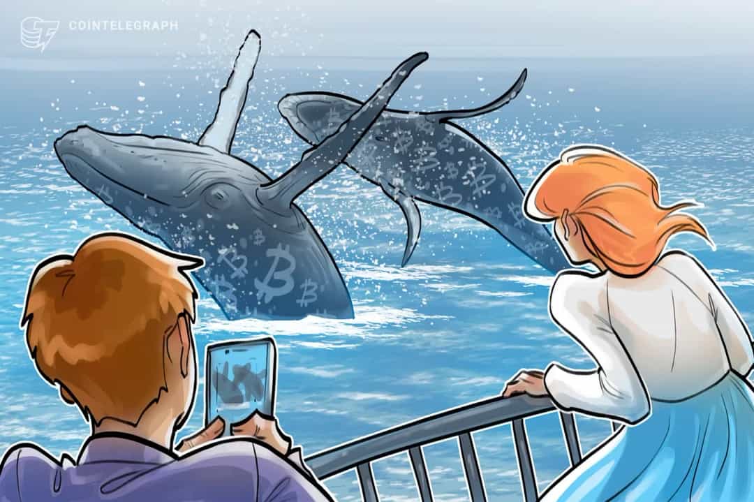 نهنگهای بیت کوین به آرامی به ETF بلک راک جذب میشوند (BTC)