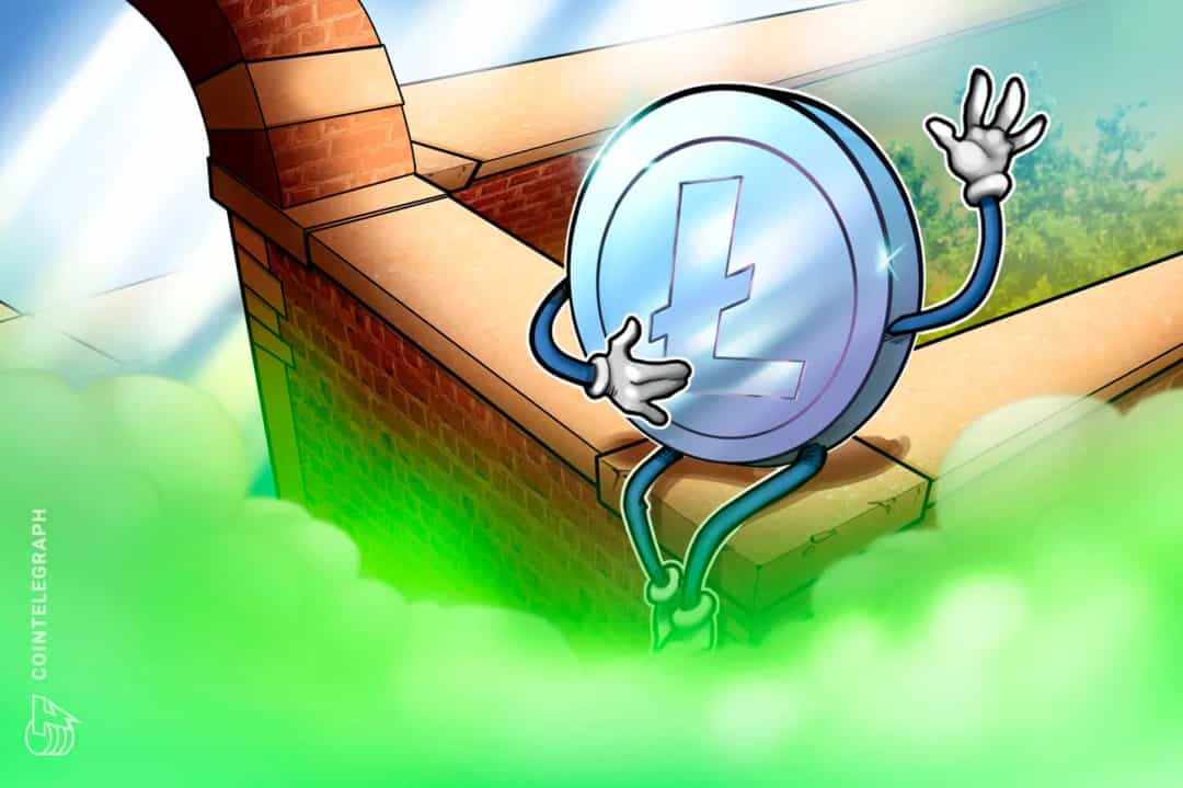 هیجان انفجاری در لایت کوین: رشد ۴۶٪ ارزش بازار در ۱۷ روز