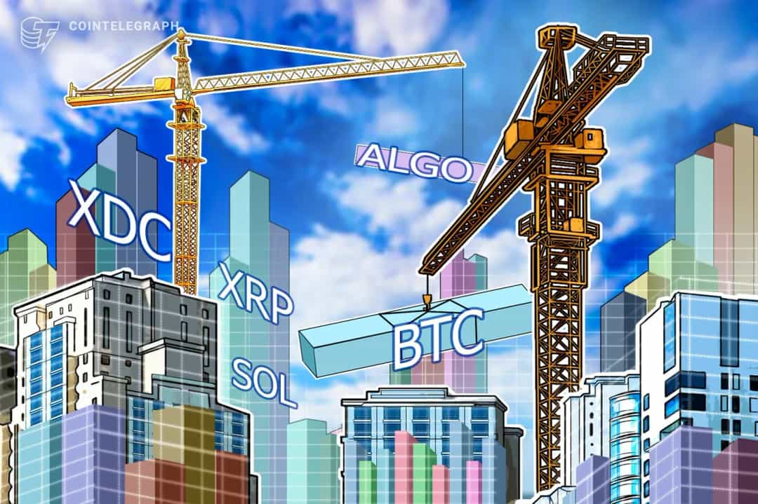 توکن TRUMP در سولانا؛ از صعود ۷۹ دلاری تا تاثیر بر رکوردهای SOL و BTC