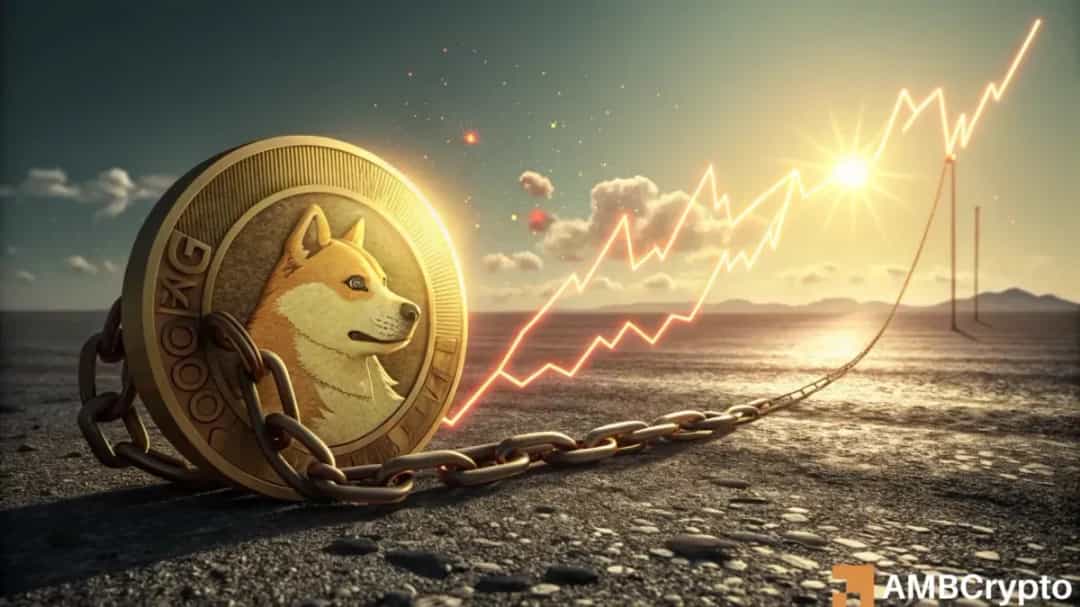 رشد ۴۶ درصدی دوج کوین؛ آیا DOGE آماده صعود بیشتر است؟