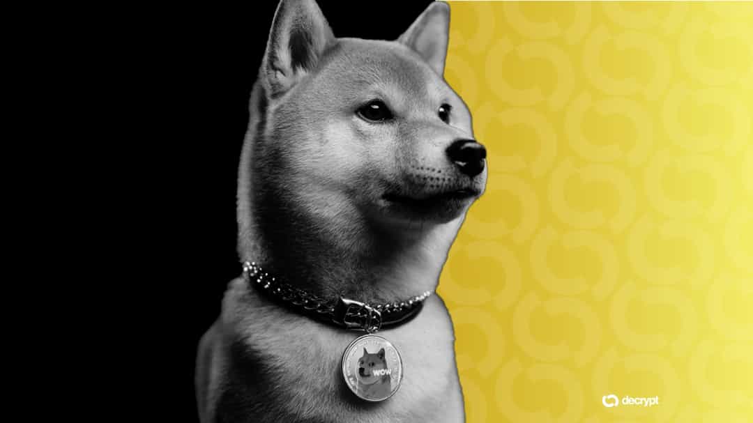 DOGE صعود 17٪؛ میم سکه ها در موج بازگشت قیمت