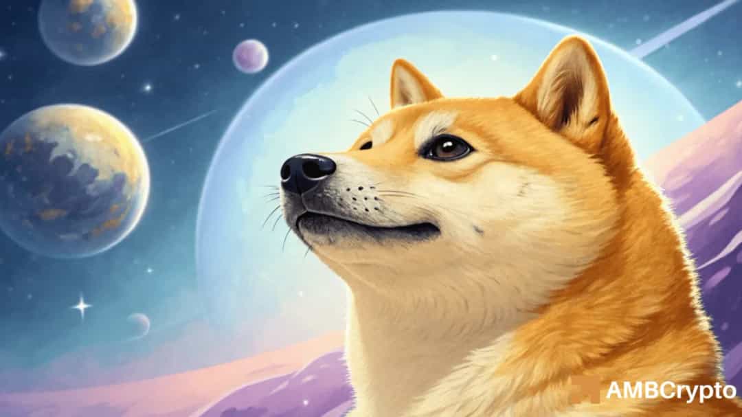 آغاز جهش دوج کوین؟ عبور از ۰.۲۳۹ دلار با حمایت نهنگها