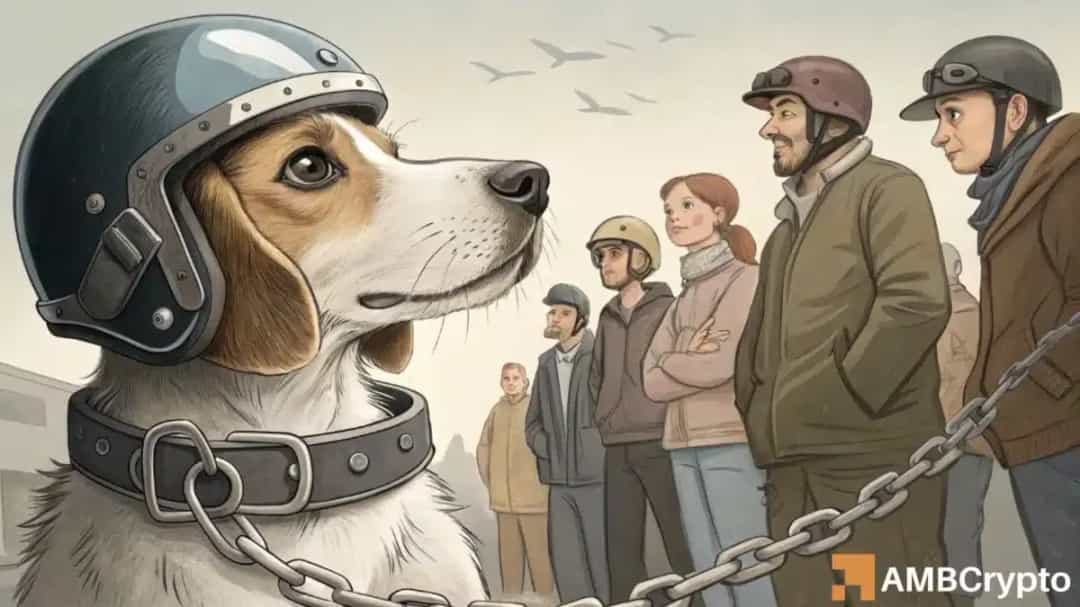 سقوط ۲۴٪ی dogwifhat (WIF): آیا ۰.۷۰۹ دلار آخرین حمایت است؟