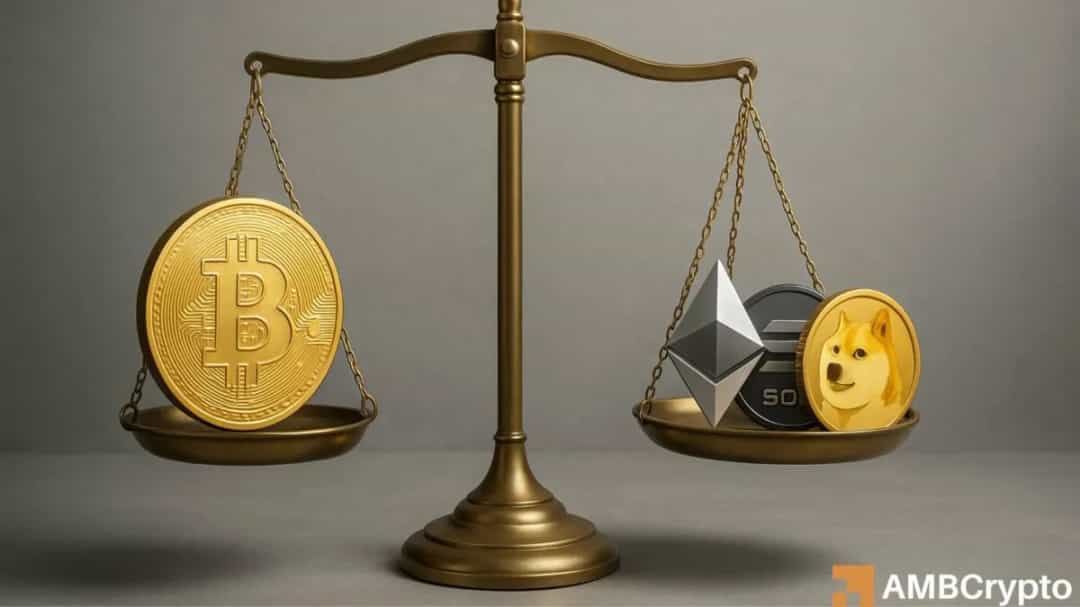 آیا تجمع آلتکوینها نوید انفجار بازار جدیدی را میدهد؟