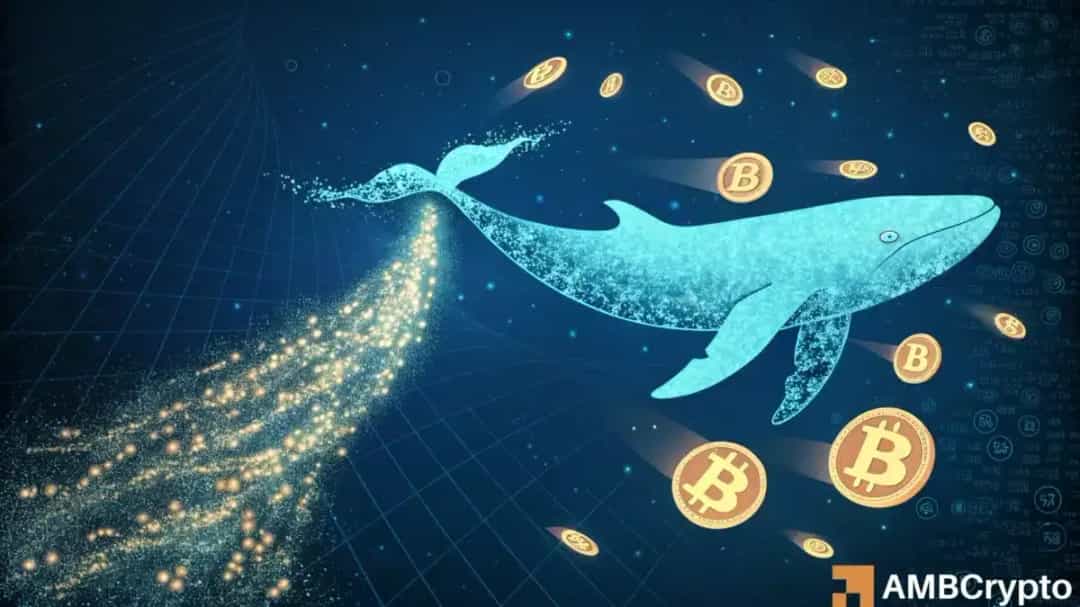 آیا BTC پیش از 2026 ضعیف می شود؟ داده ها چه می گویند