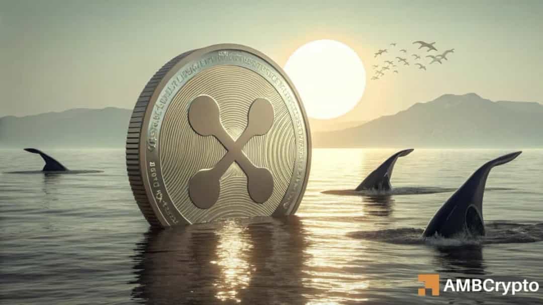 آیا کف قیمت XRP در دید است؟ داده های .درون شبکه چه می گویند