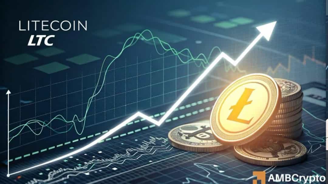 لایتکوین فشار نزولی را دفع کرد؛ آیا ۹۶ دلار در راه است؟