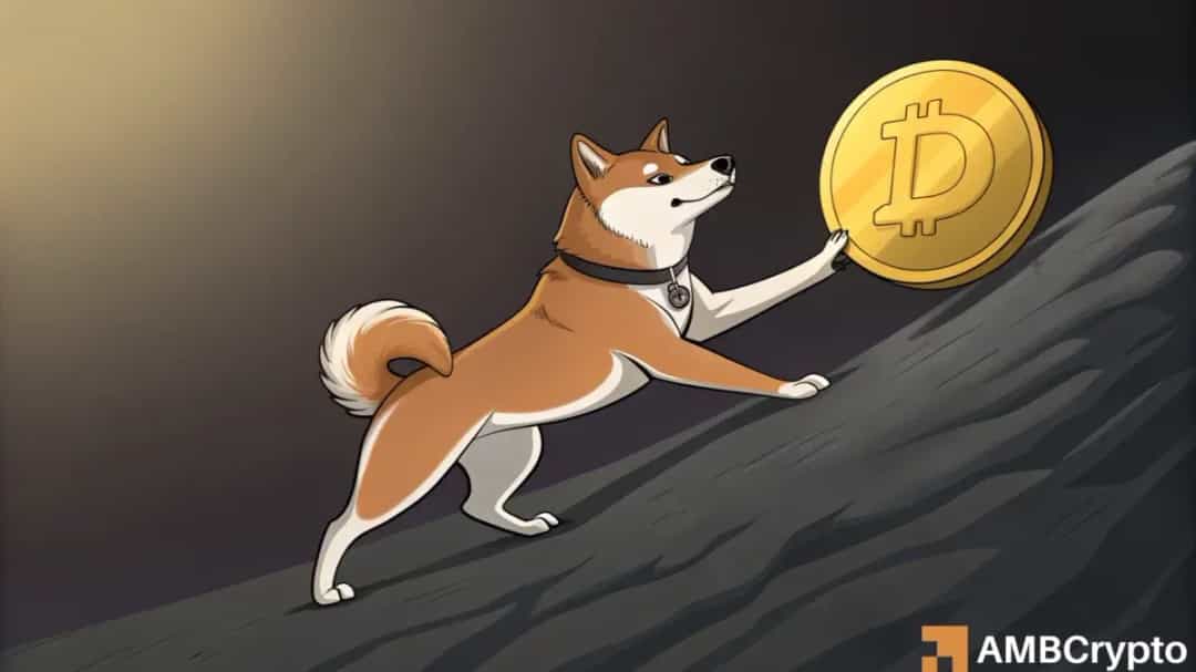 DOGE/USDT: DOGECOIN ممکن است پیش از سقوط به $0.13 ابتدا $0.204 را تست کند