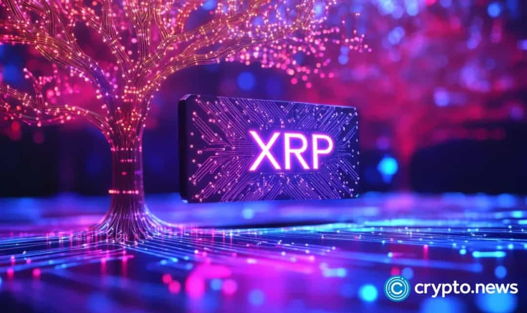 XRP/SOL: مدیر Solana خواهان مناظره مبتنی بر دادهها شد