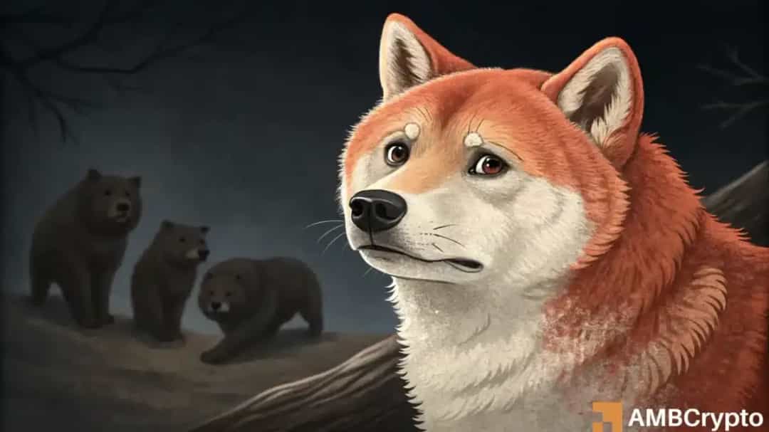 فرصت خرید پرریسک SHIB/USDT؛ حمایت 0.000012 دلار آمریکا حیاتی است