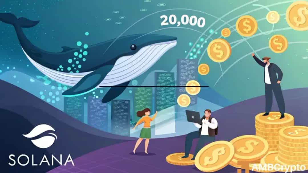 ۳ دلیل که سولانا (SOL) تا پایان سپتامبر میتواند به ۲۲۳ دلار برسد