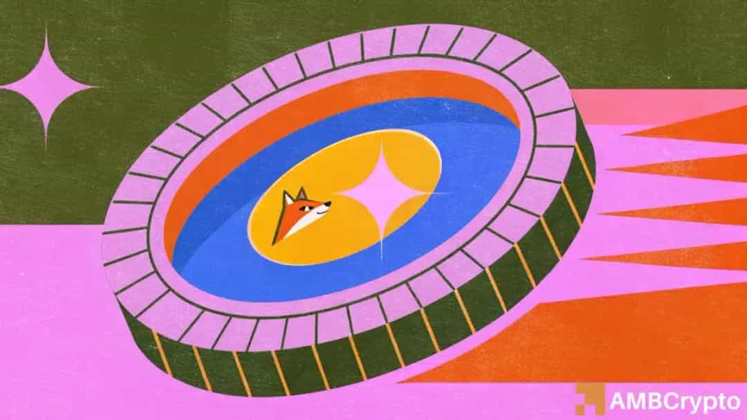 سونيک پس از ریزش ۱۷٪ جهش کرد؛ فعالیت شبکه همچنان ضعیف