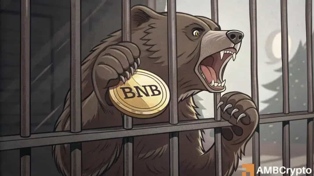 فرصت صعودی BNB؛ جهش ۷۹٪ حجم DEX و دام خرس ۶۰۰ دلاری