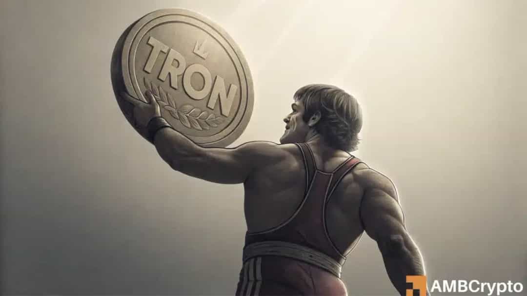 TRX/ETH: پیشتازی TRON در سلطه USDT و پیامدهای آن برای DeFi