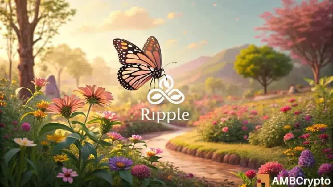 افزایش ۱ میلیاردی موجودی نهنگهای XRP در ۴۸ ساعت گذشته؛ بازگشت اعتماد به ریپل؟