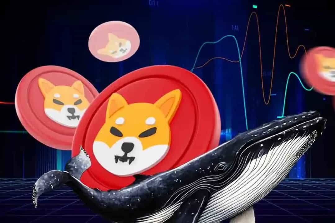 فروش ۱۳ تریلیون SHIB توسط نهنگها؛ آیا سوزاندن توکن قیمت شیبا را بازمیگرداند؟