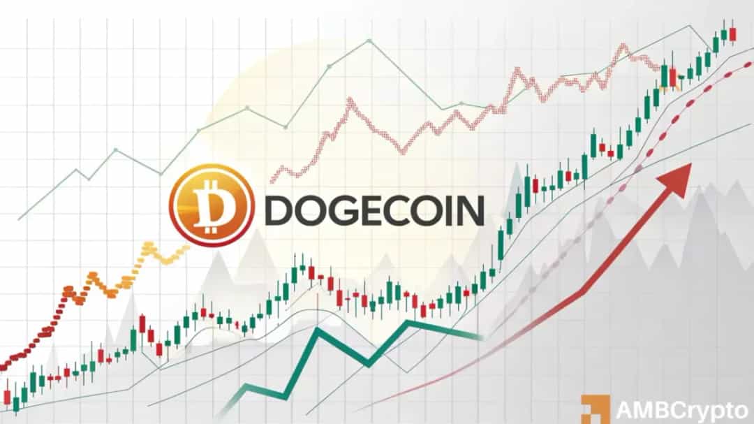 DOGE در دوراهی سرنوشتساز؛ حمایت حیاتی یا سقوط آزاد؟