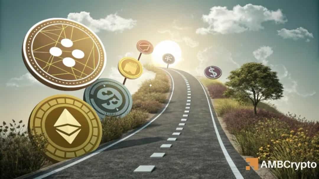اوج ۵ ساله جستوجوی «آلتکوینها»؛ آیا رالی ۲۰۲۱ تکرار میشود؟