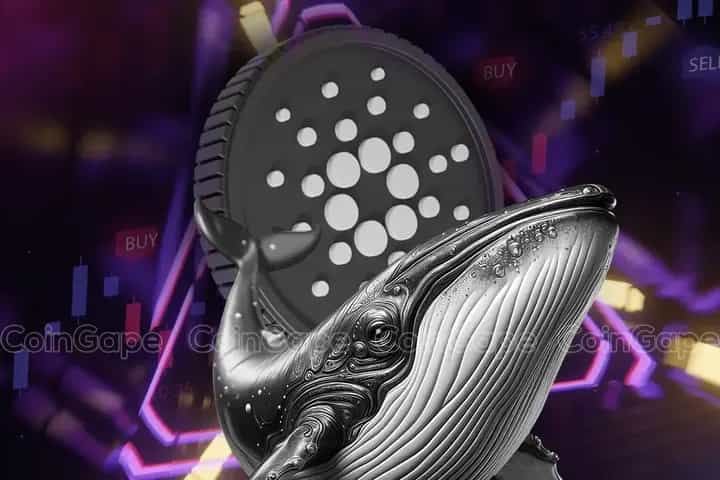 خرید ۱۲.۵۴ میلیارد ADA توسط نهنگها؛ جهش قیمت در راه است؟