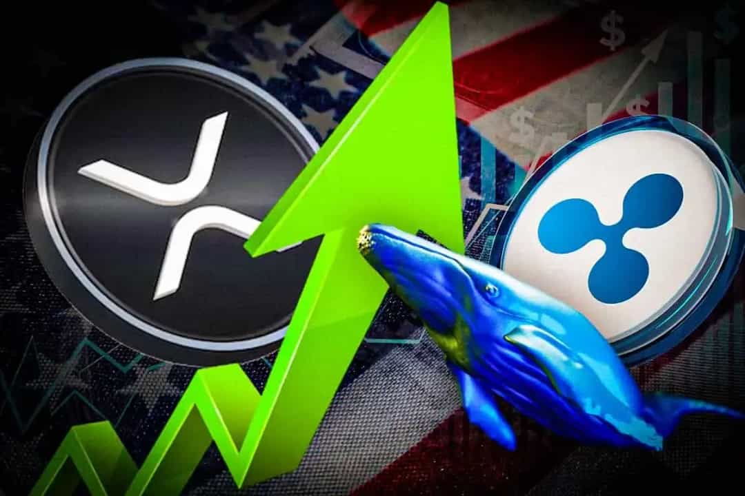 والهای بزرگ ۲۰۰ میلیون XRP خریدند؛ آیا قیمت تا ۳٫۸۷ دلار رشد میکند؟