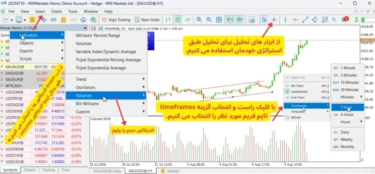 معامله در دبلیو ام مارکتس